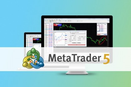 泉州5G用户639万 居全省第一